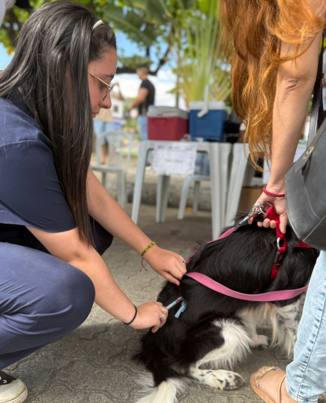 Giro Pet Ceará leva encoleiramento antiparasitário e vacinação antirrábica para região do Sertão de Sobral